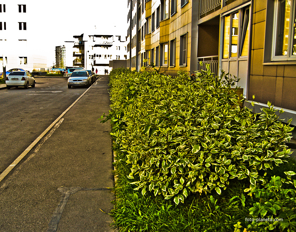 Славянка. Улица Ростовская.