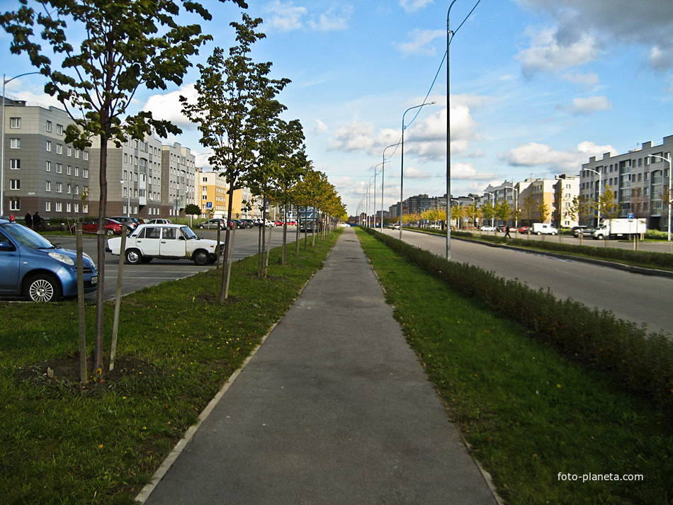 Славянка. Улица Ростовская.