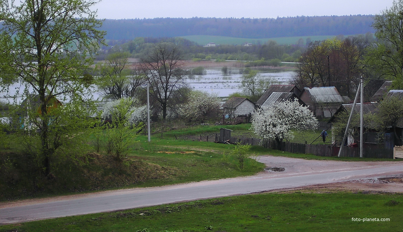 Большие Шиловичи