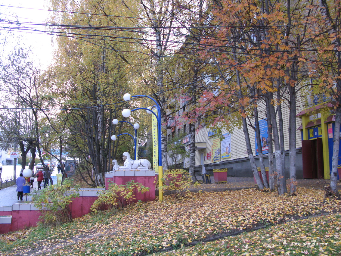 Сыктывкар 2013