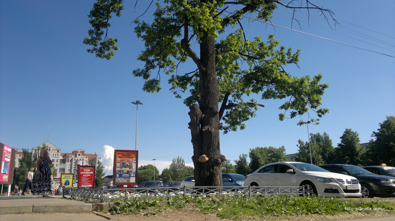 ул.Октябрьская