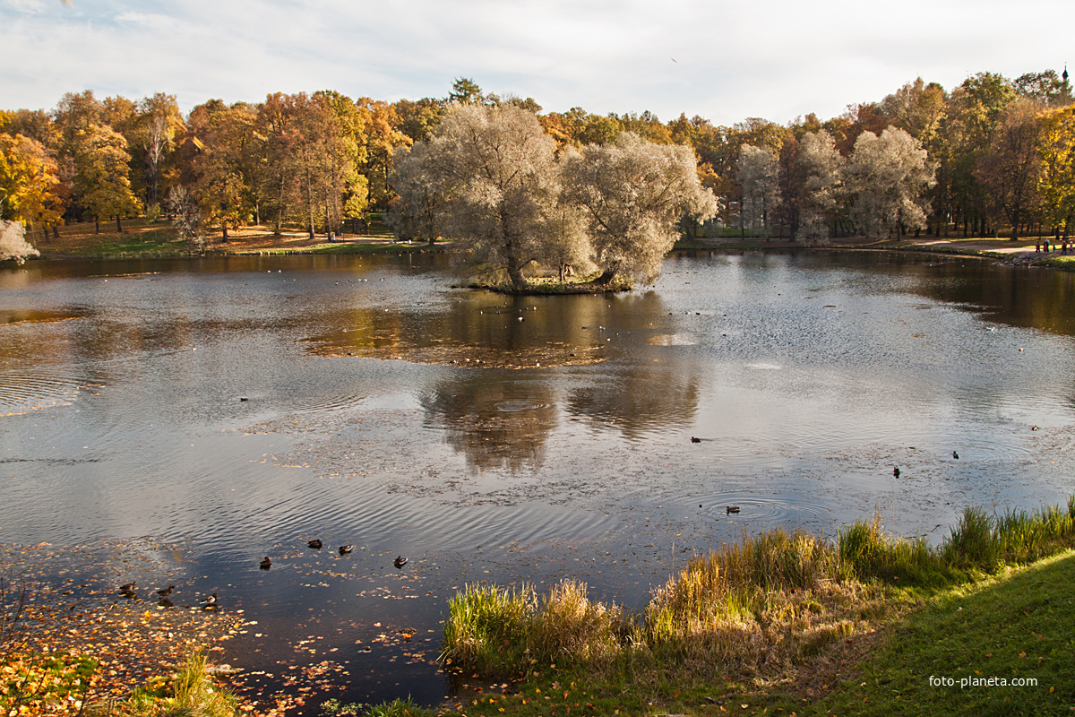 Вид на Белое озеро