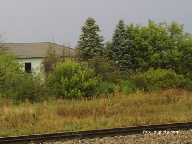 Заброшенный дом