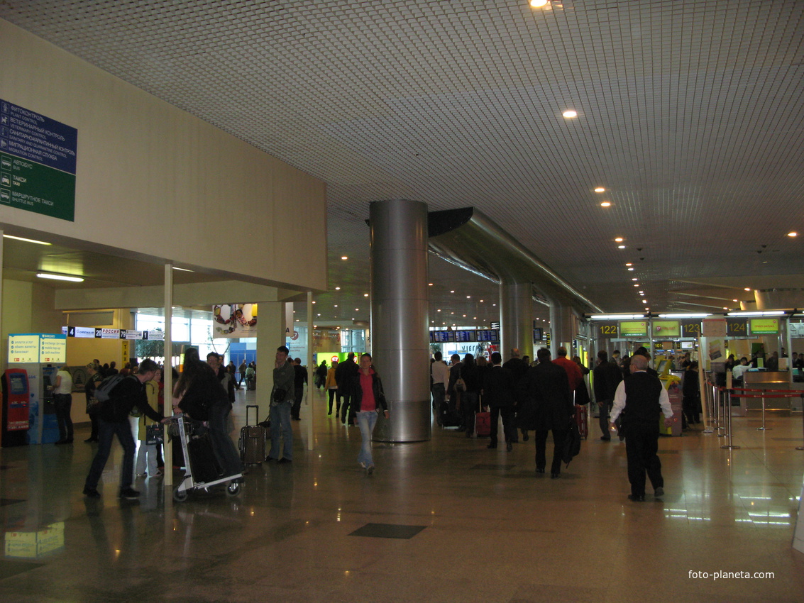 Фото аэропорта домодедово внутри сейчас