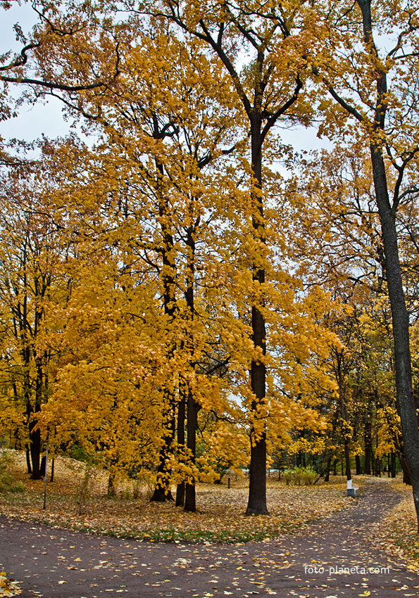 Александровский парк