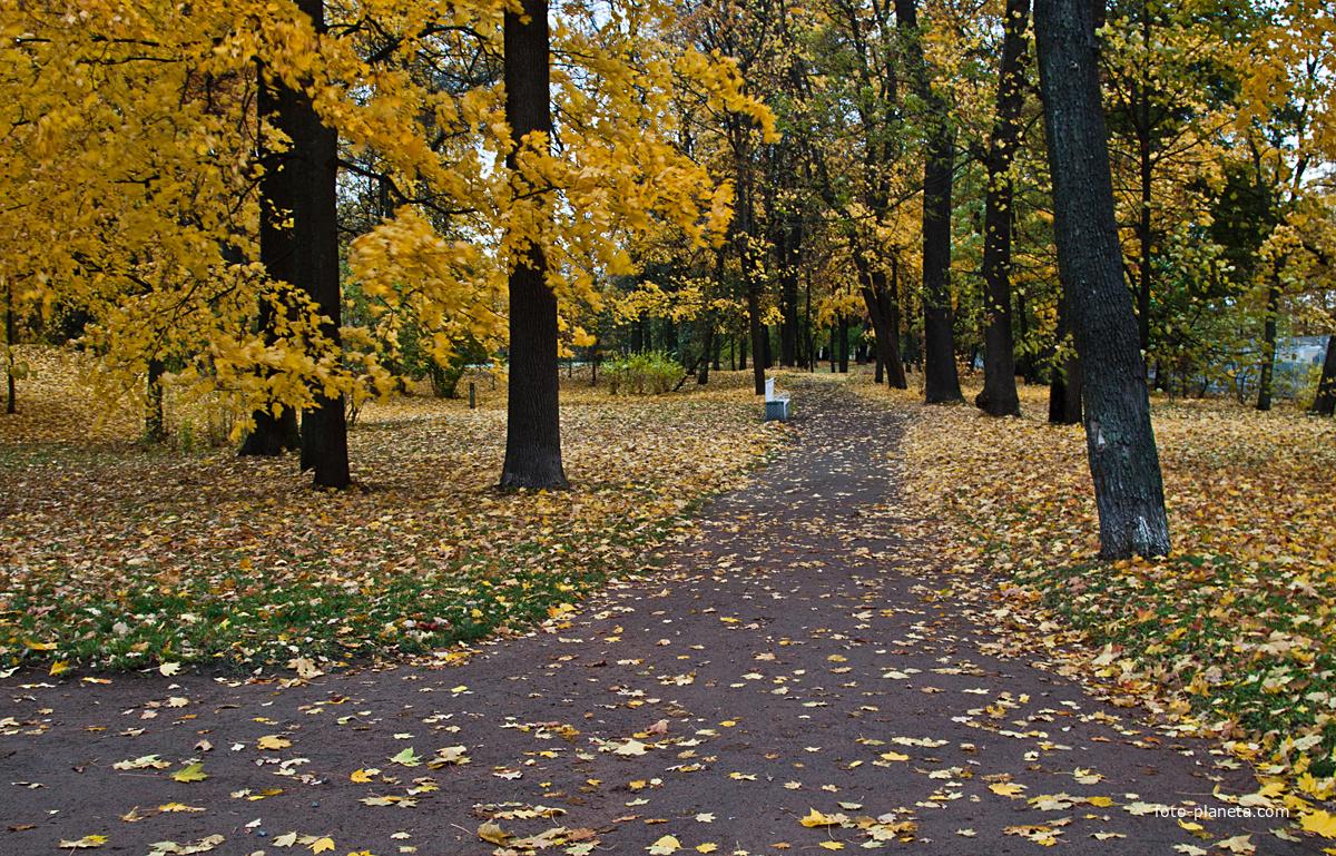 Александровский парк