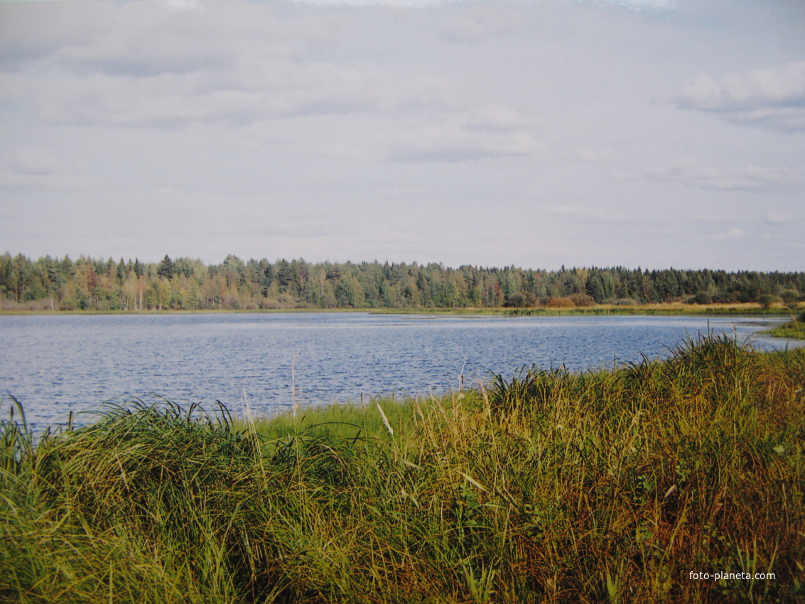 Нижние Коквицы 2005 озеро