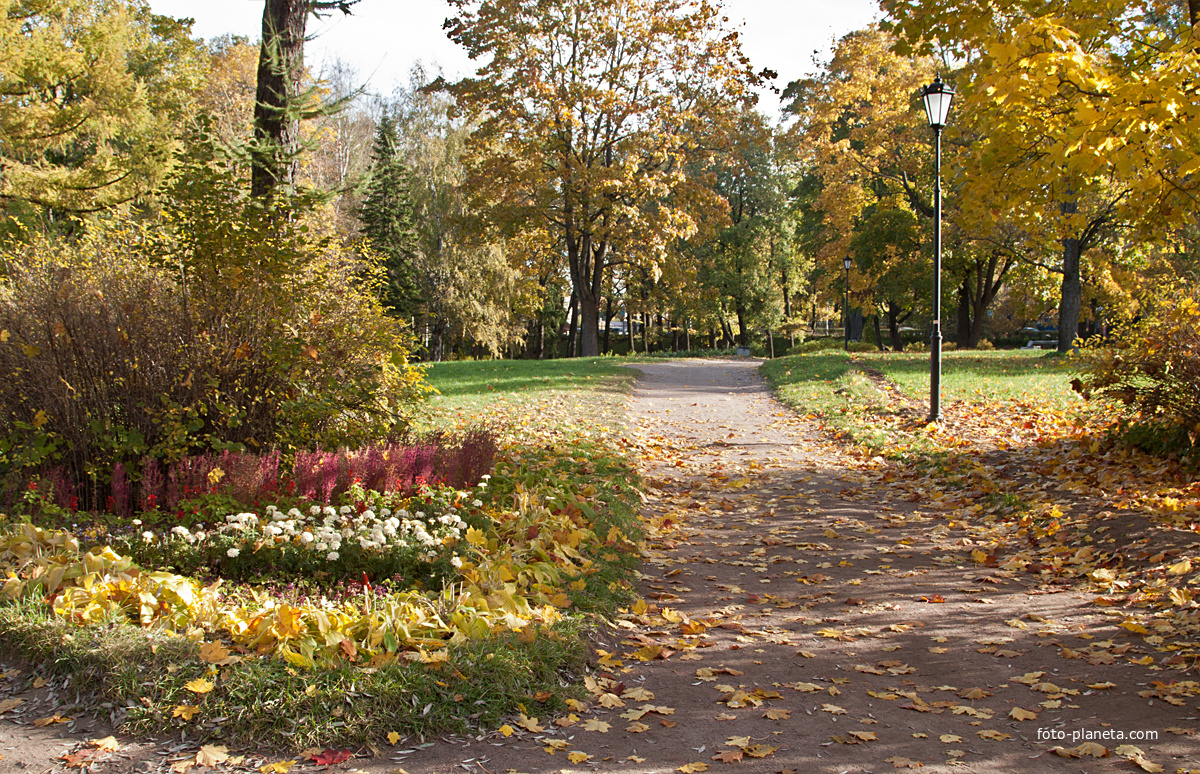 Дворцовый парк