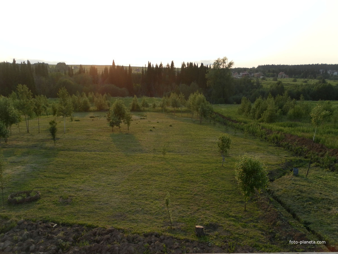 Видпротасов