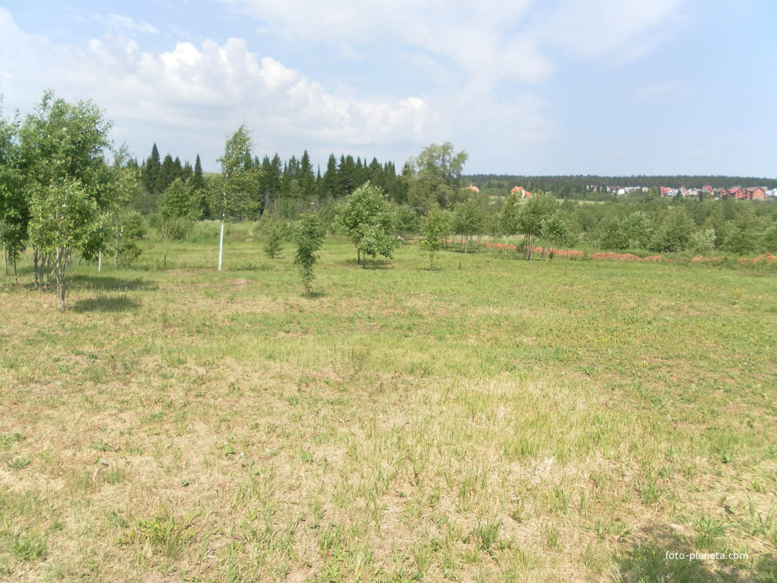 вид на Протасы 2