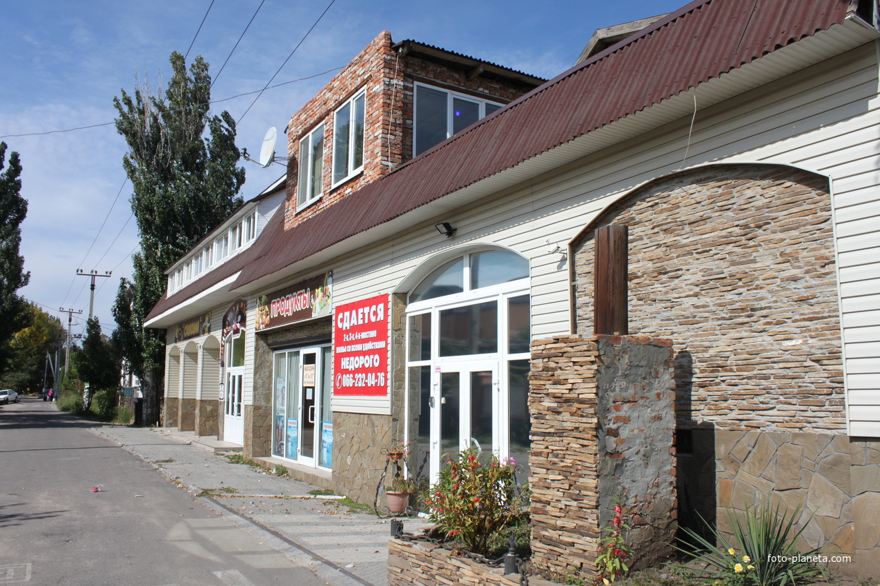 Бердянск. Магазин и столовая.