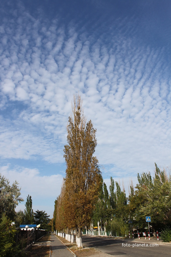 Бердянск. Средняя коса. Ул. Макарова.