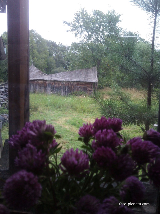 Вид из окна дома в Пентешкино ( август 2012г.)