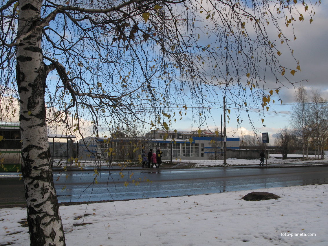 Эжва 2013 ул. Мира