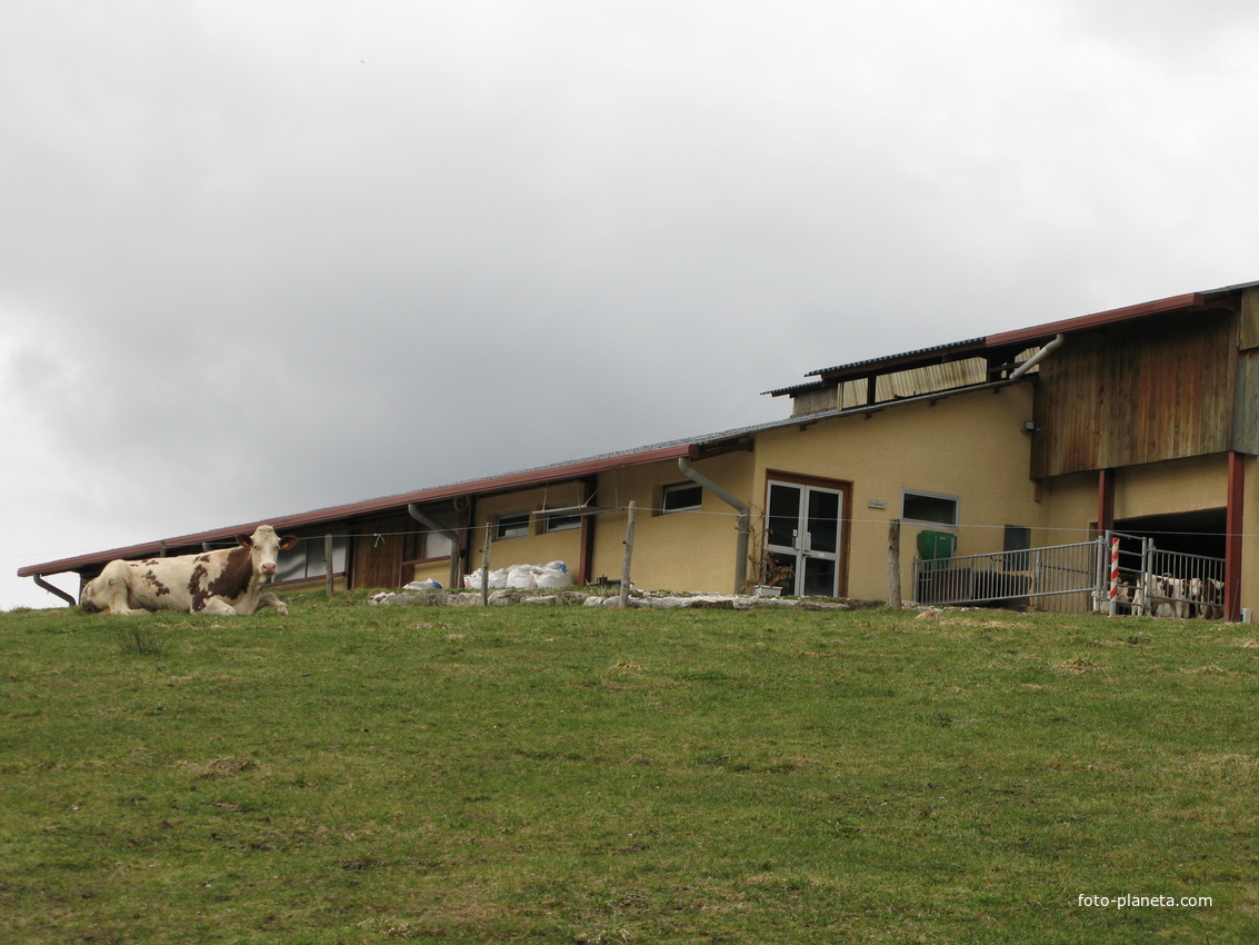 Bellecombe-en-Bauges 22/03/2010