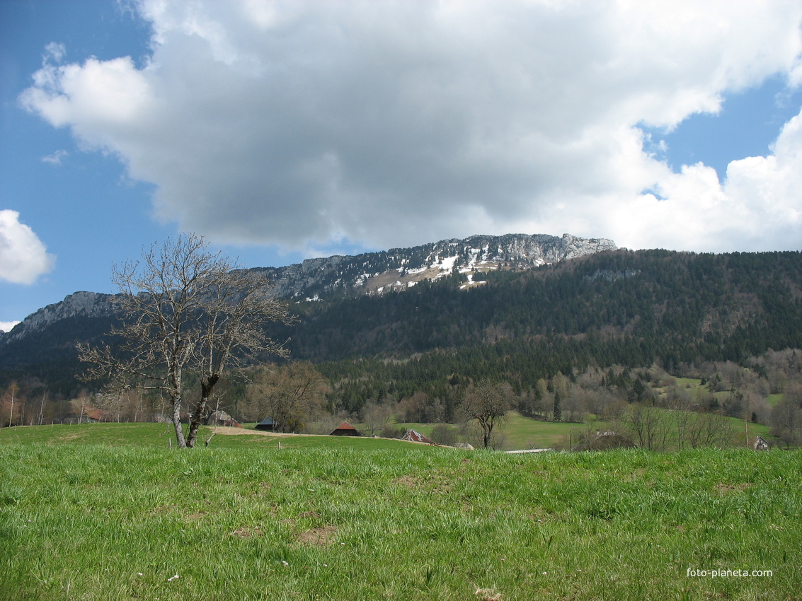 Bellecombe-en-Bauges 23/04/2006