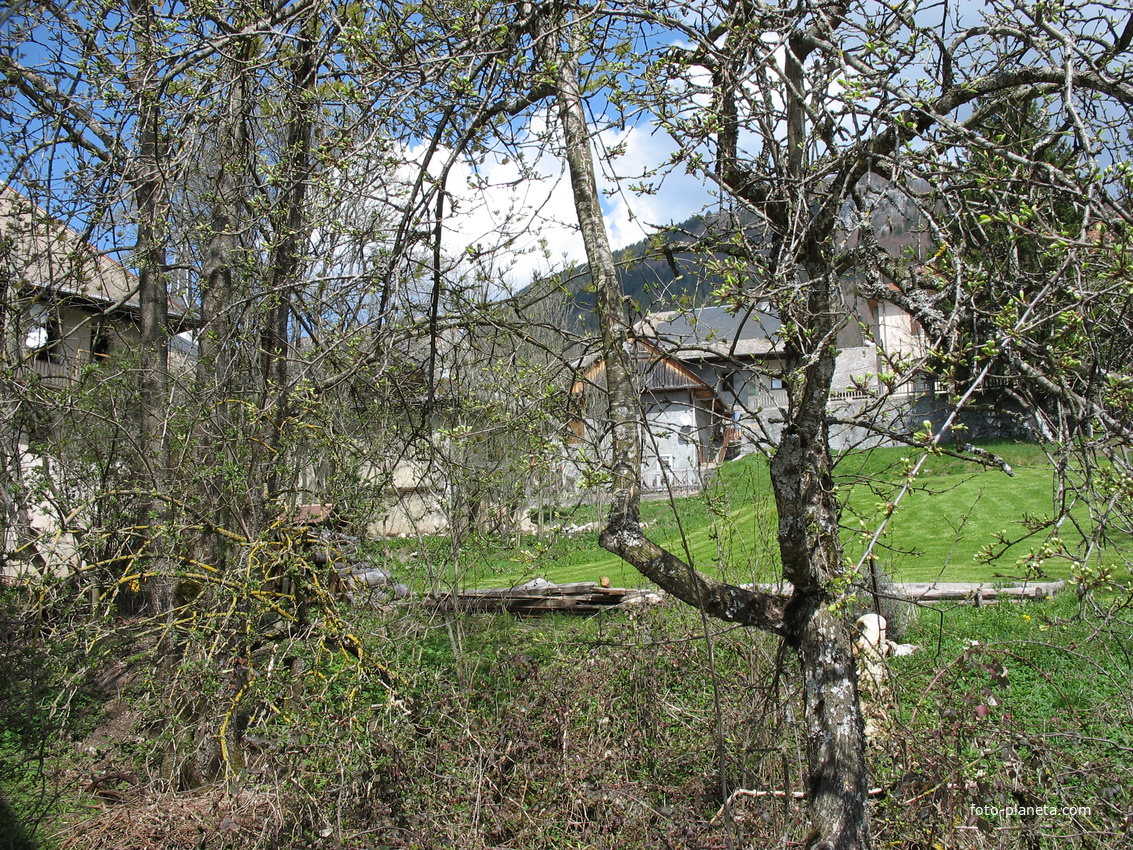 Bellecombe-en-Bauges 23/04/2006