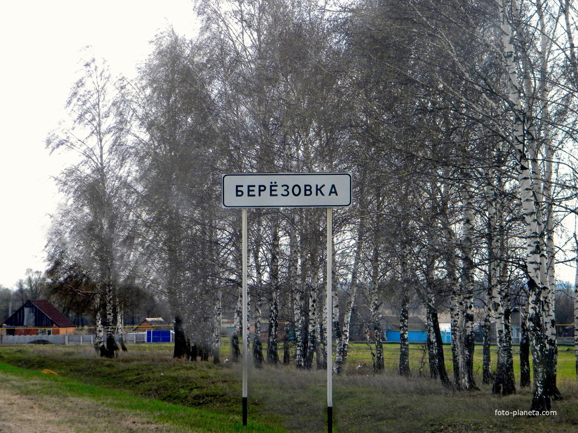 Облик села Березовка