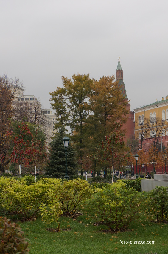 Осень в Александровском саду