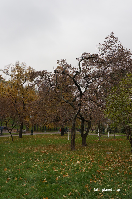 Александровский сад