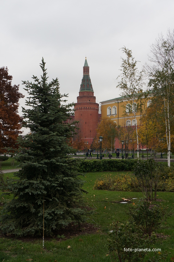 Александровский сад