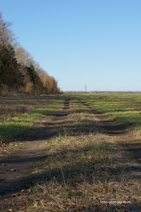 Посадка у шоссе