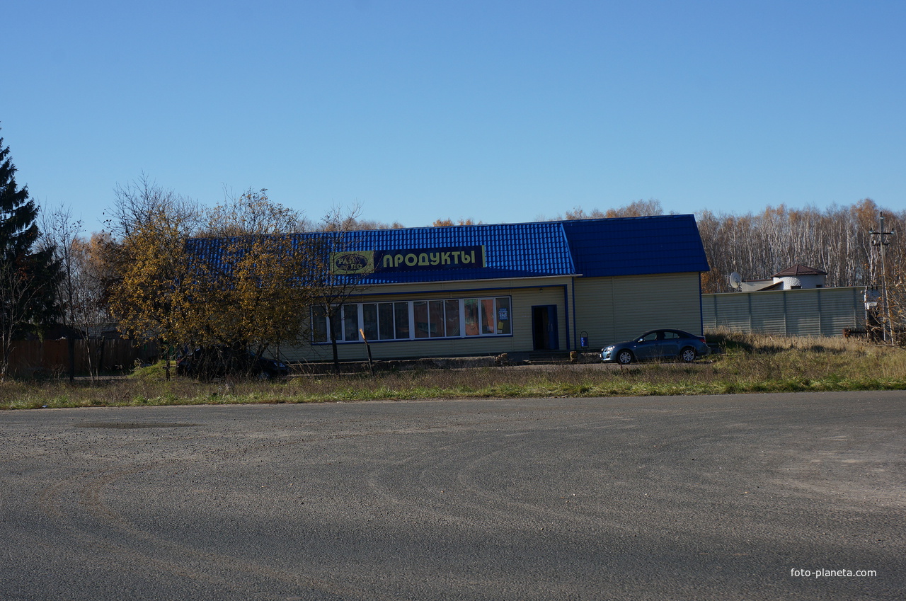 Продуктовый магазин