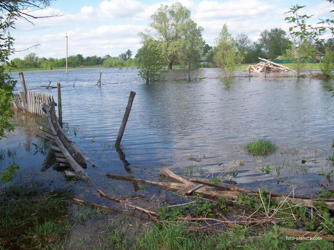 Разлив реки Дсна.с.Бутовка.