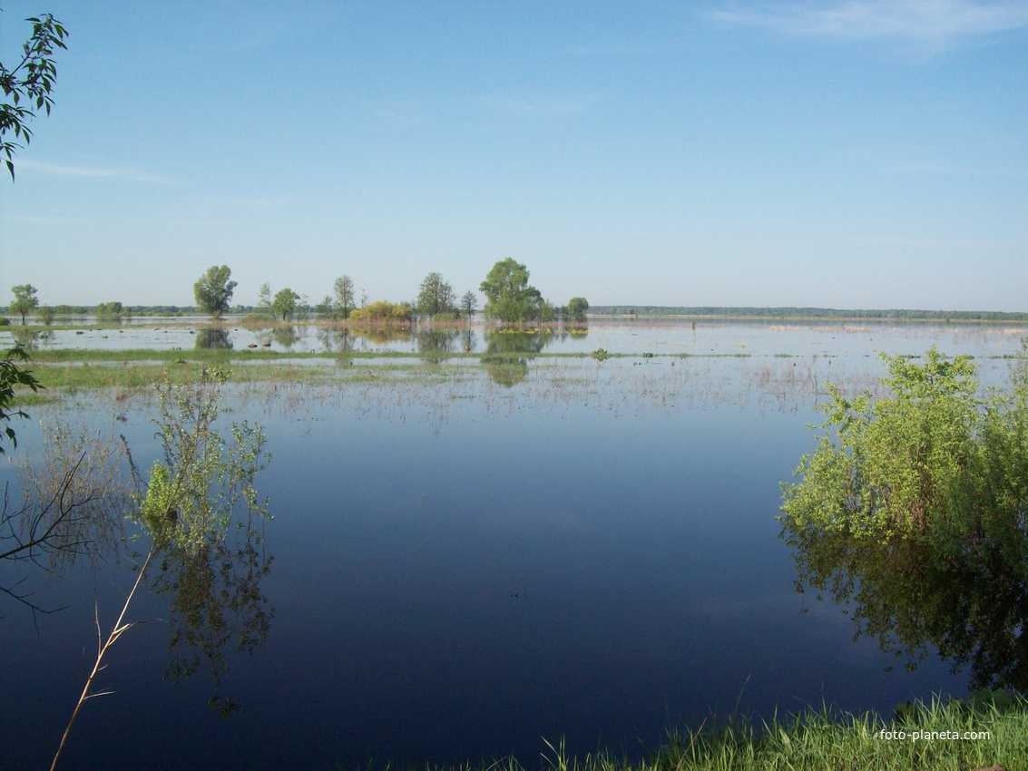 с.Бутовка.Огороды мирно дремлют под водяной толщей.