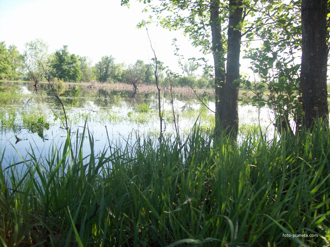 с.Бутовка.Весна 2013г.