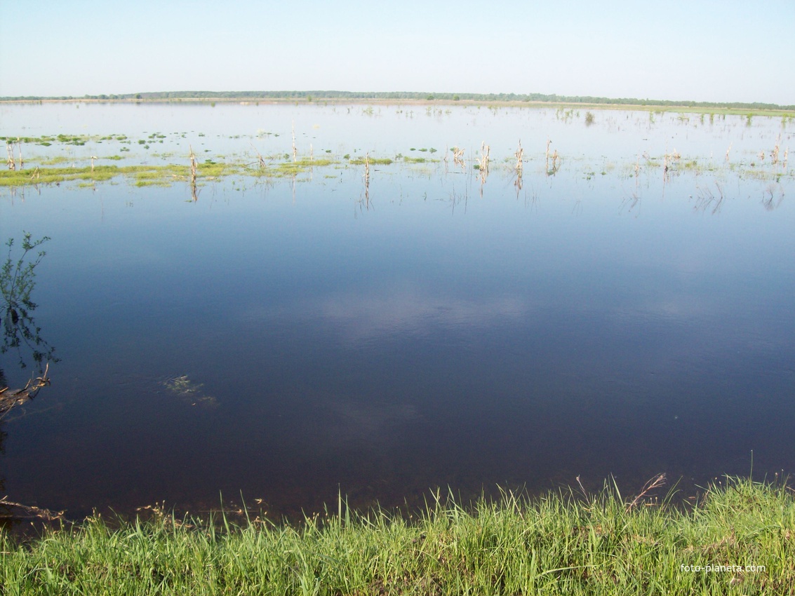 Последний раз такой разлив наблюдали в 1994г.с.Бутовка 2013г.