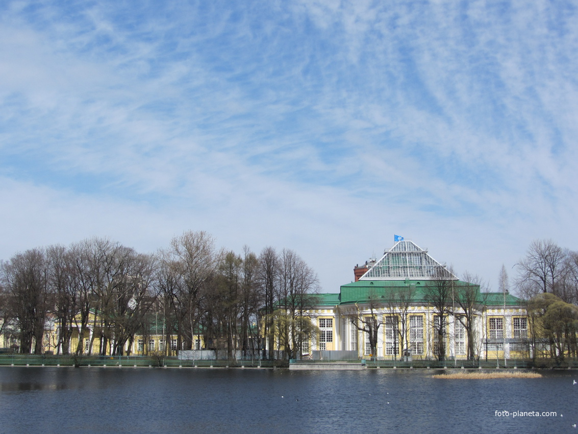 В Таврическом саду