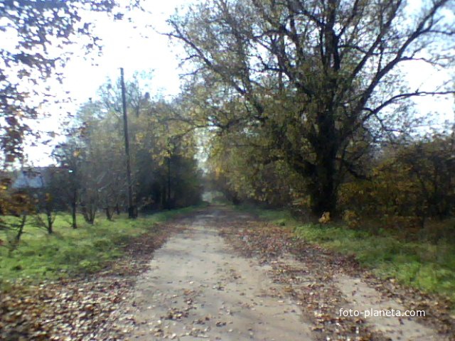 у  Панамаровка