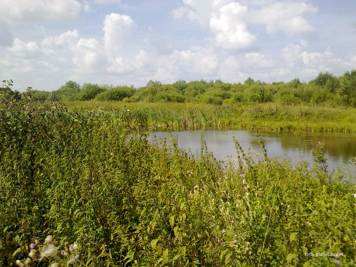 прудик-он же пожарный водоём