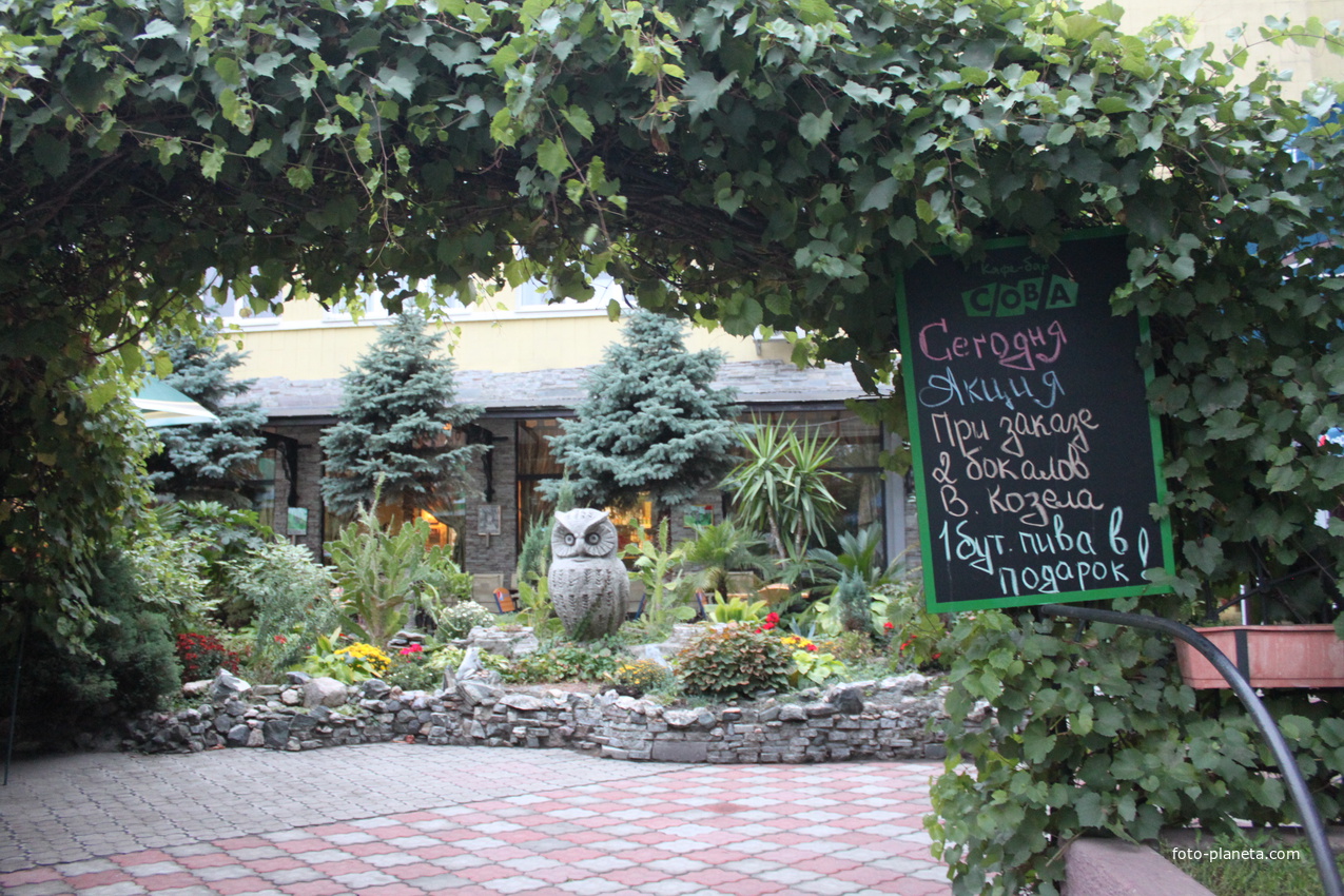 Бердянск. Кафе-бар &quot;Сова&quot;.