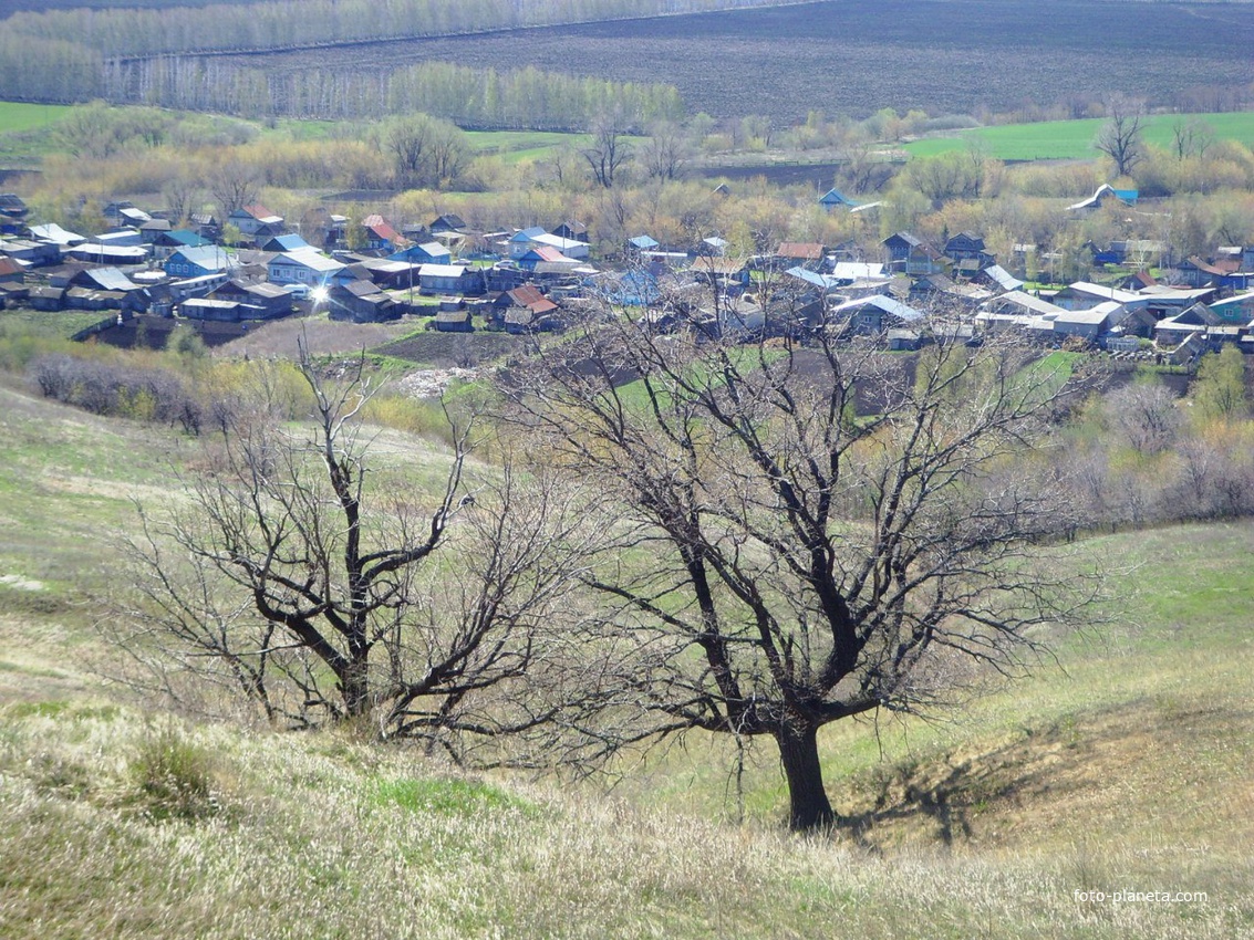 Сенгилеевский район села