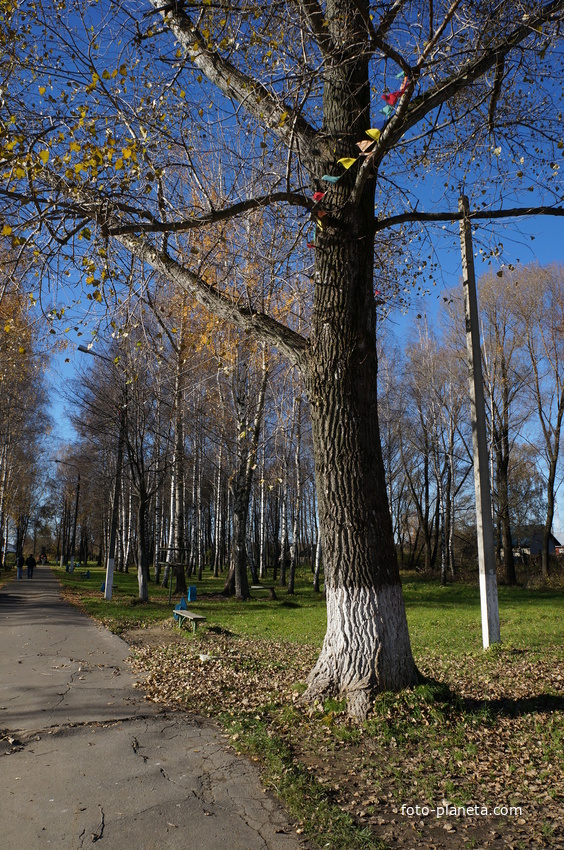 В Михневском парке отдыха