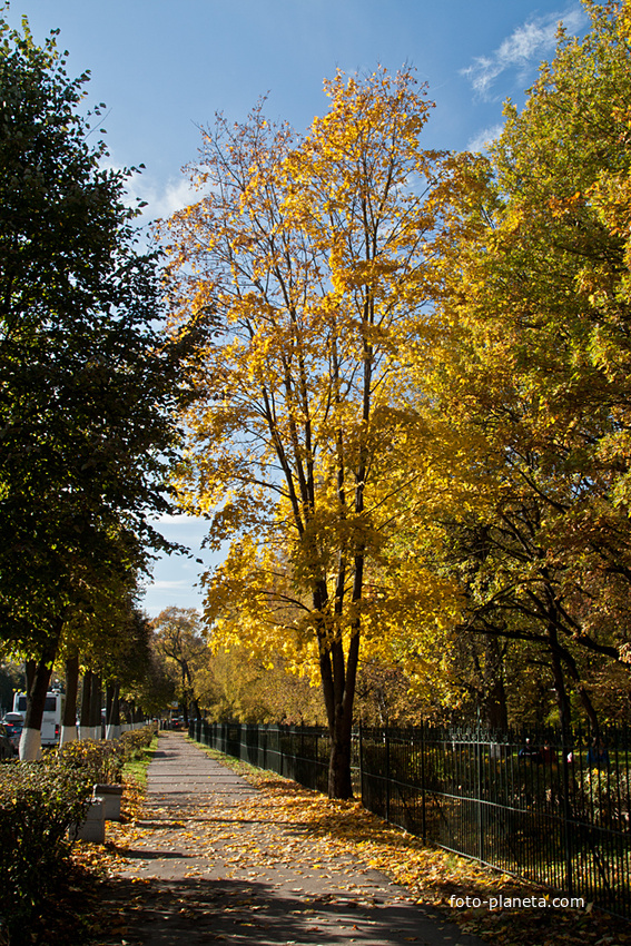 На проспекте Ленина