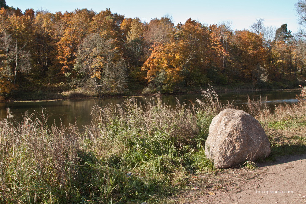 Берег озера Черного