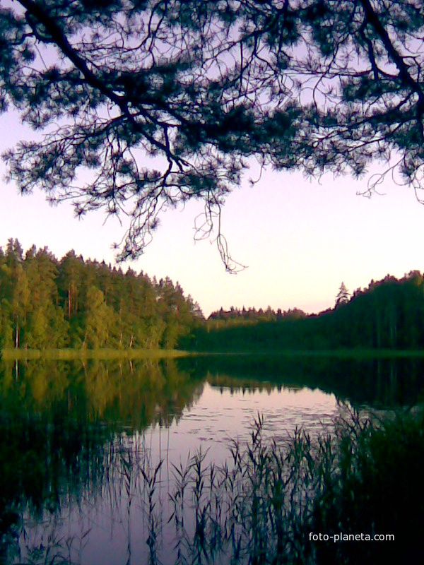 Озеро Сапроновское