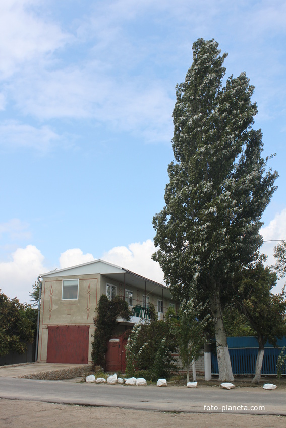 Бердянск. Ул. Приморская, 7.