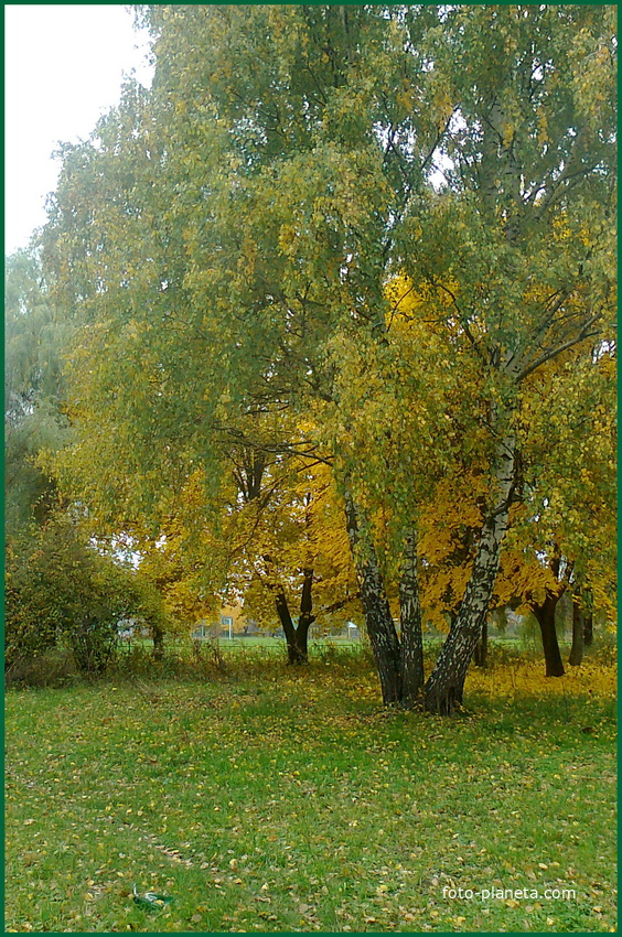 Осень в сельском парке