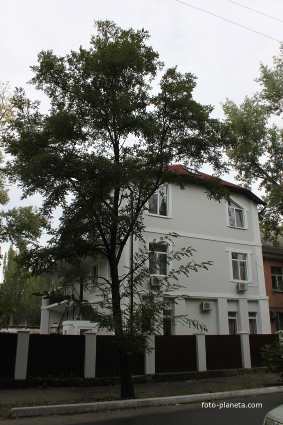 Бердянск. Ул. Красная.