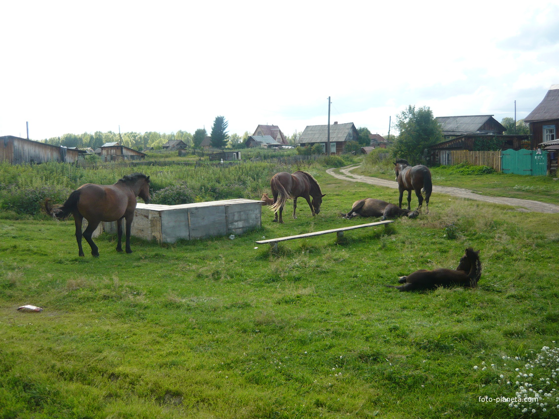 Старобибеево. Ждём автолавку