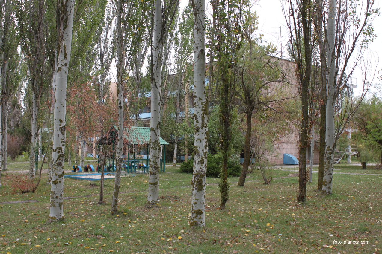 Бердянск. Территория санаторя "Лазурный".