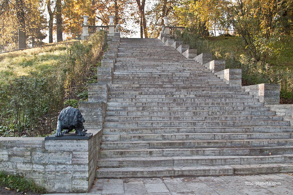 Лестница в Павловском парке