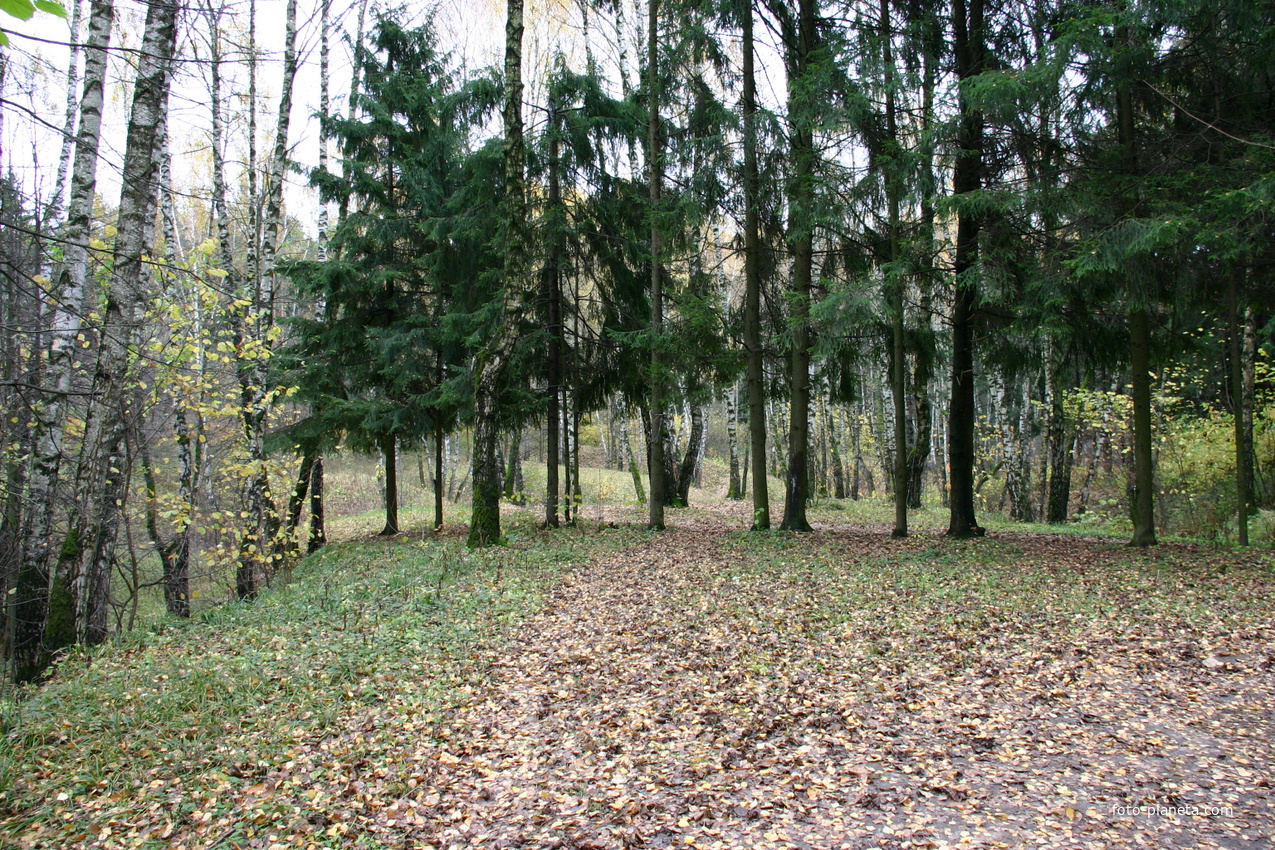Зюзтнский лес