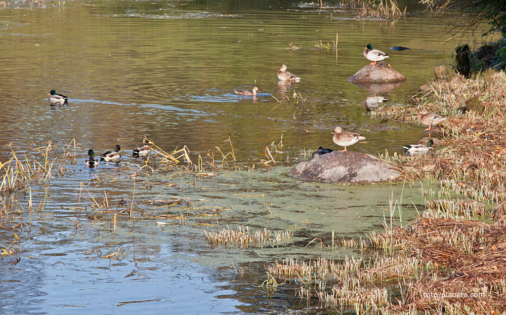 На реке Славянке
