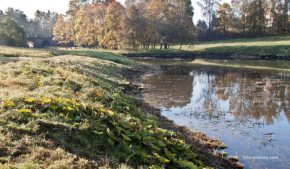 Река Славянка