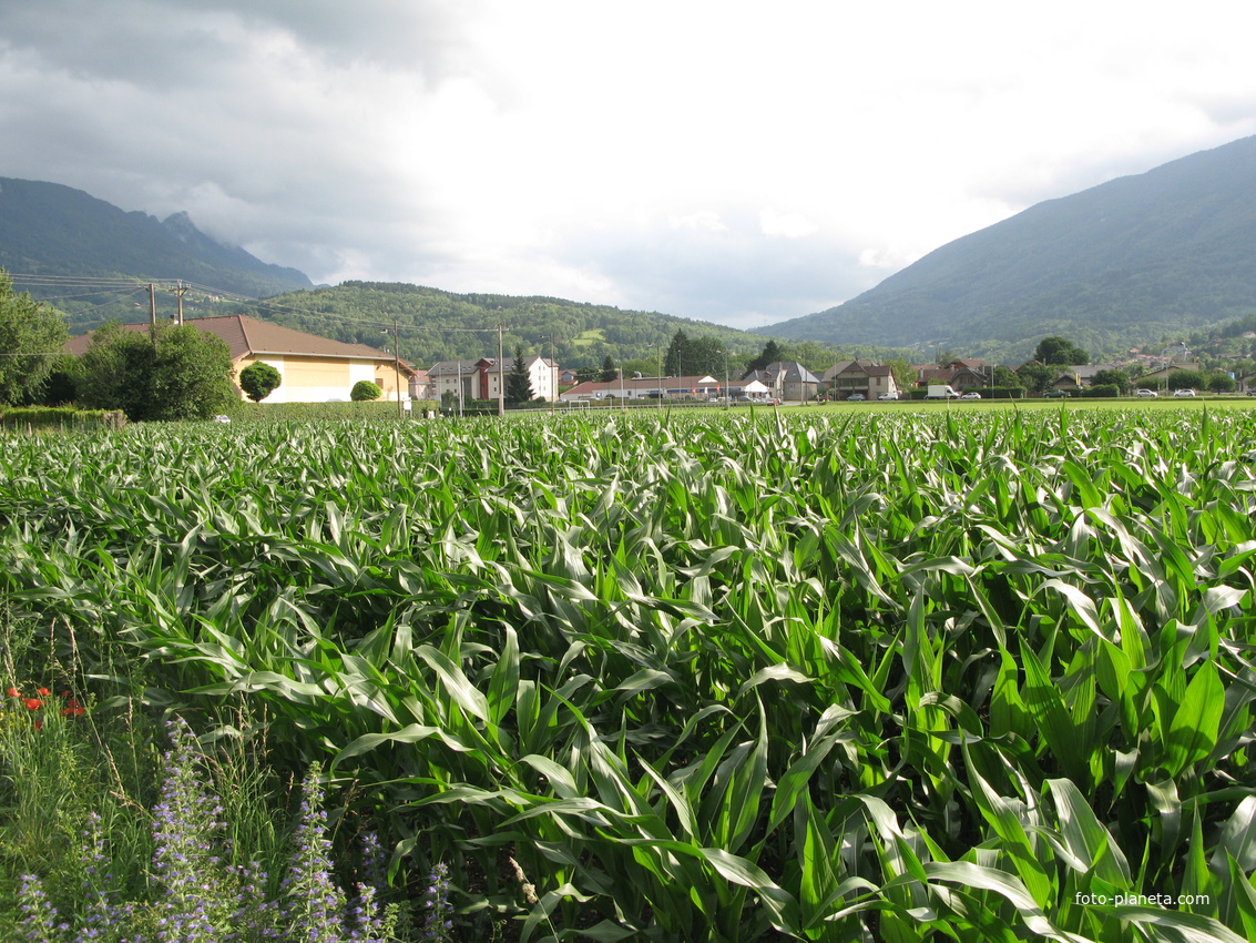 Saint-Jorioz 23/06/2011